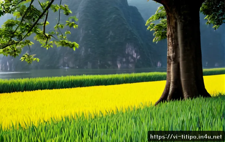 Titipo trong dòng chảy hoạt hình quốc tế: tiêu chí chọn nội dung phù hợp cho trẻ Việt 4 띠띠뽀와 세계 애니메이션의 교류 관련 이미지 2